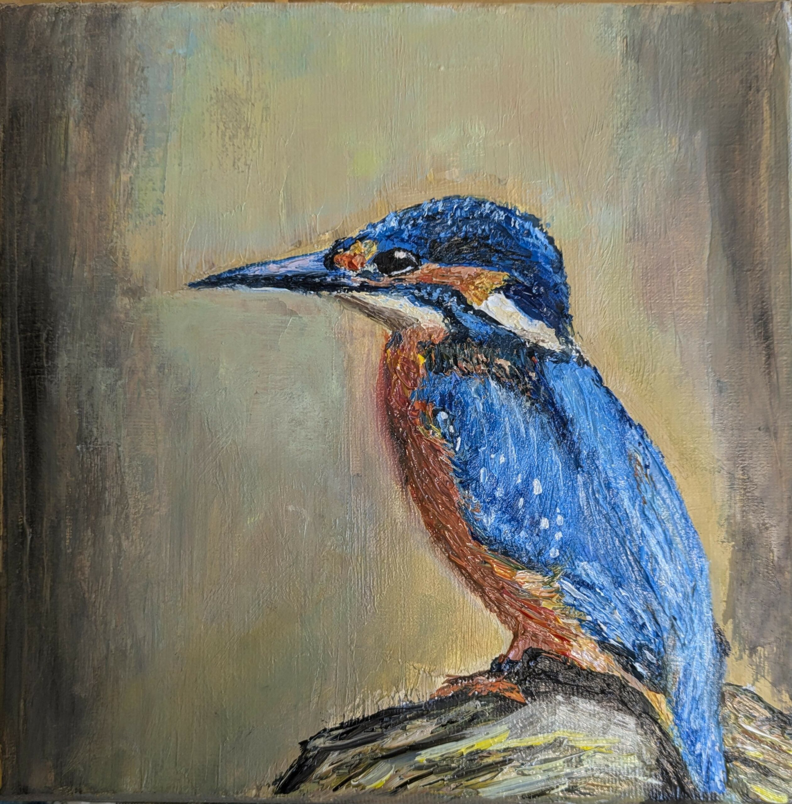 Eisvogel auf Ast sitzend
